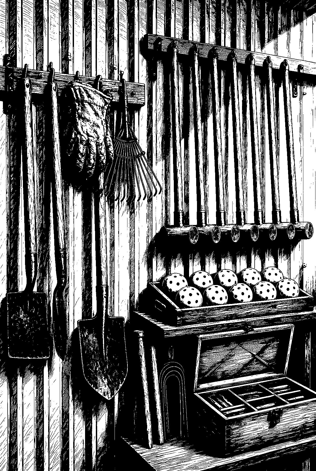 Illustration