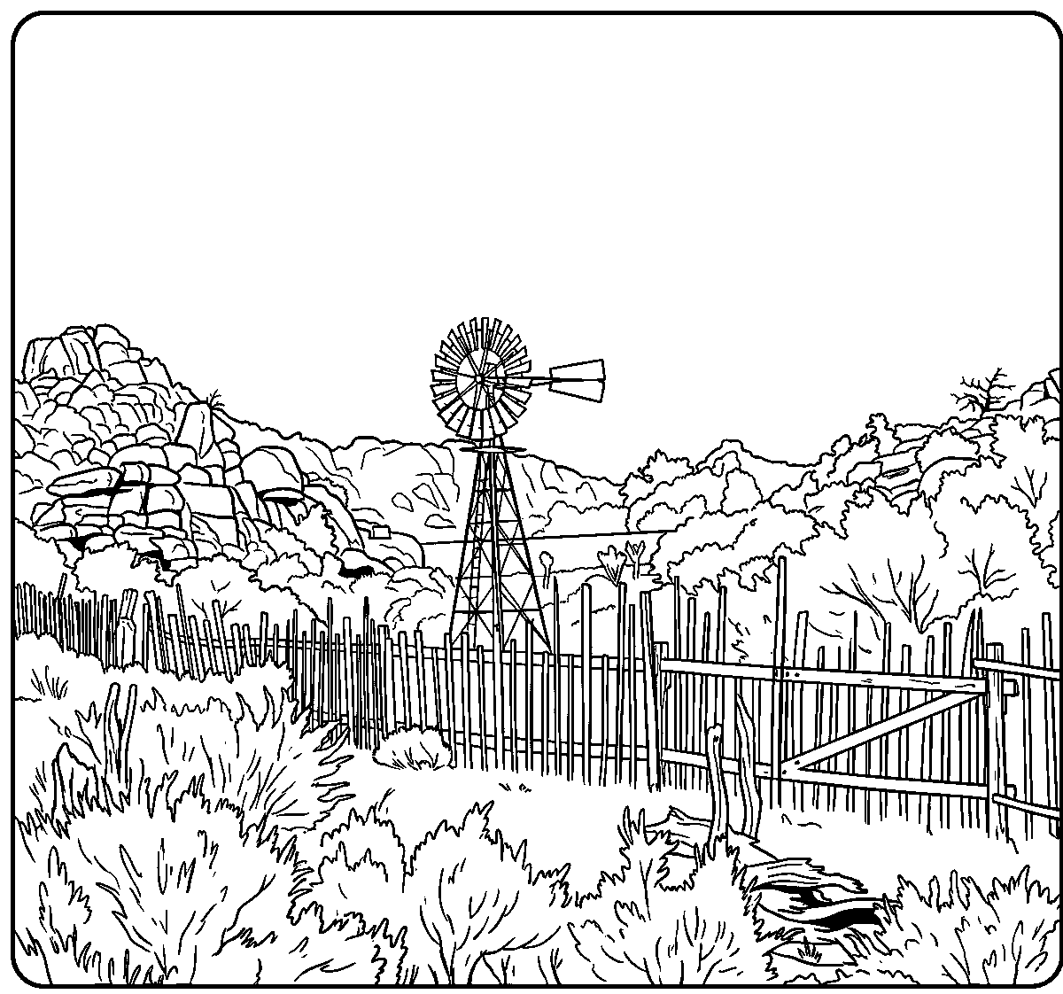 Keys Ranch Windmill